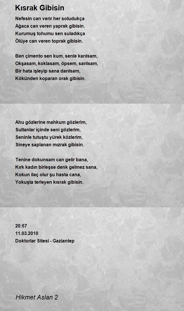 Hikmet Aslan 2