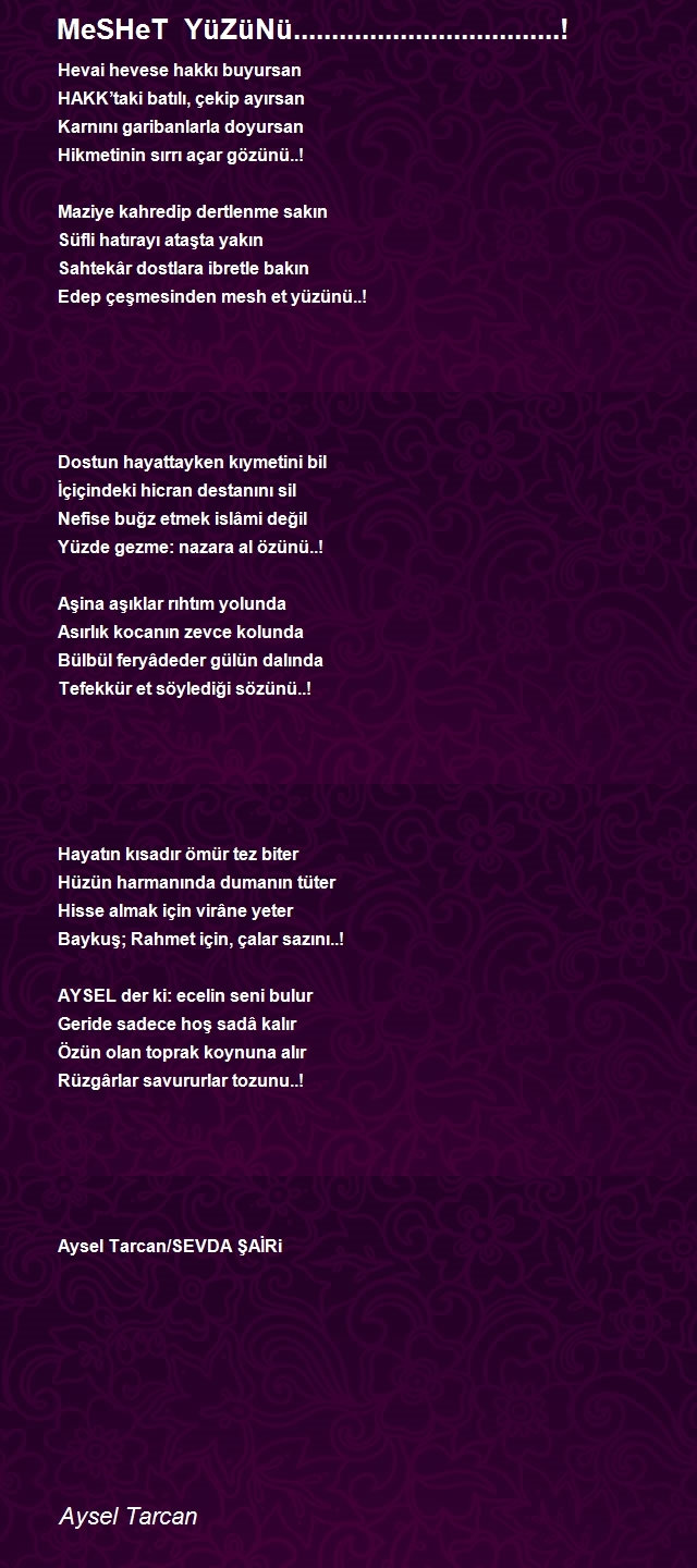 Aysel Tarcan