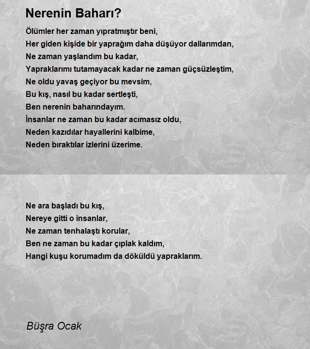 Büşra Ocak