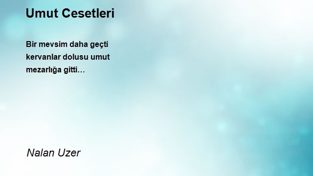 Nalan Uzer