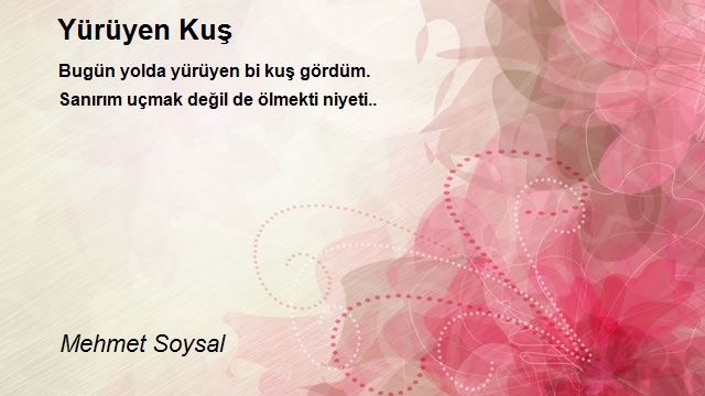 Mehmet Soysal