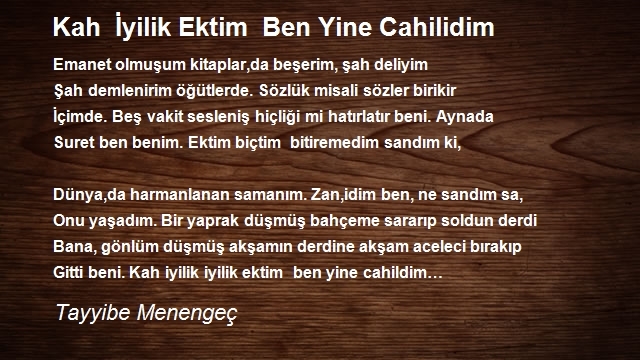 Tayyibe Menengeç