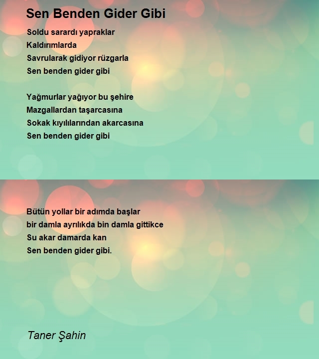 Taner Şahin