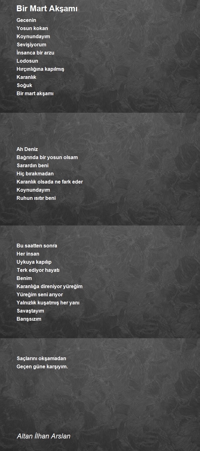 Altan İlhan Arslan