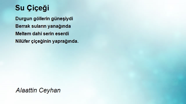 Alaattin Ceyhan 