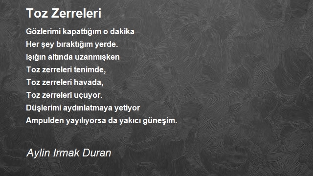 Aylin Irmak Duran