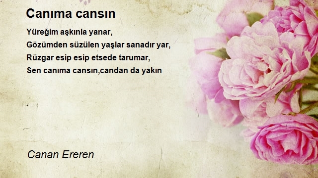 Canan Ereren