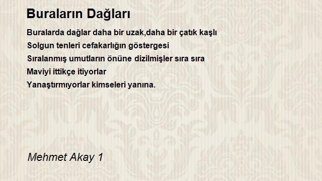 Mehmet Akay 1