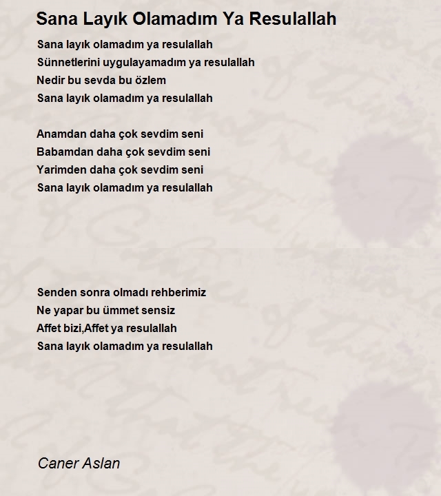 Caner Aslan