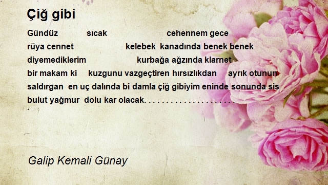 Galip Kemali Günay