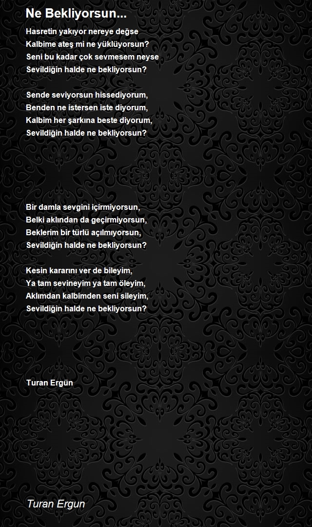 Turan Ergun