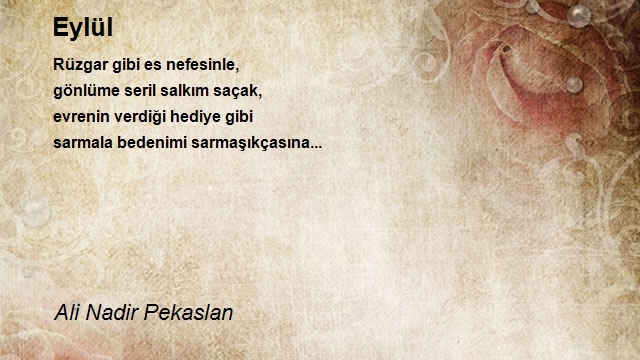 Ali Nadir Pekaslan