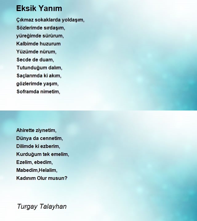 Turgay Talayhan