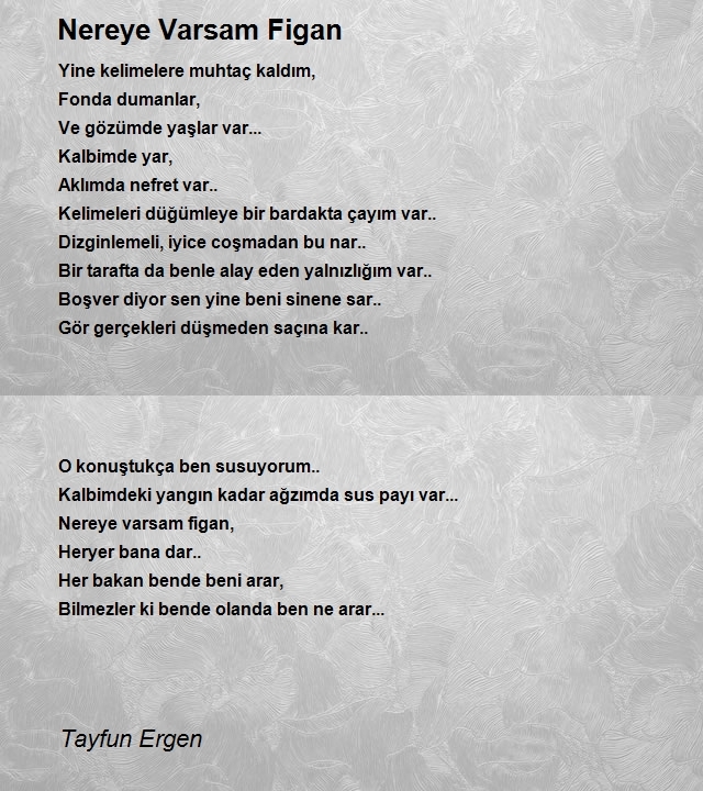 Tayfun Ergen