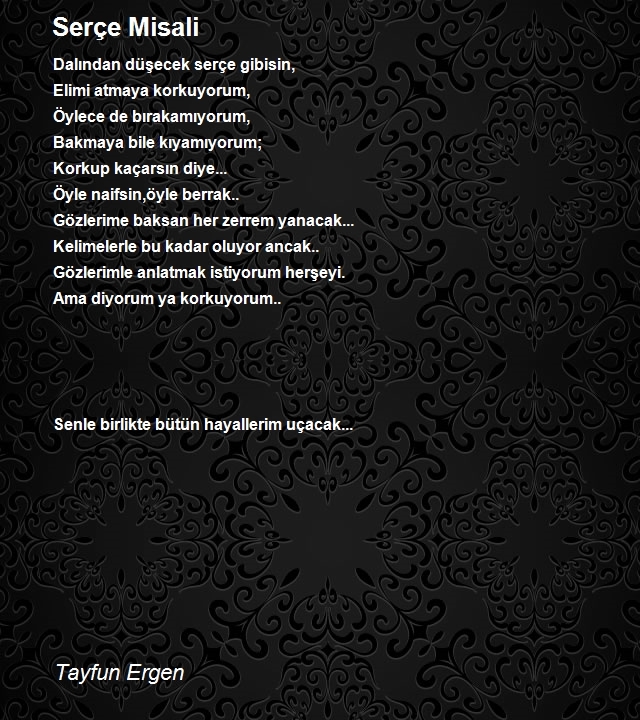 Tayfun Ergen