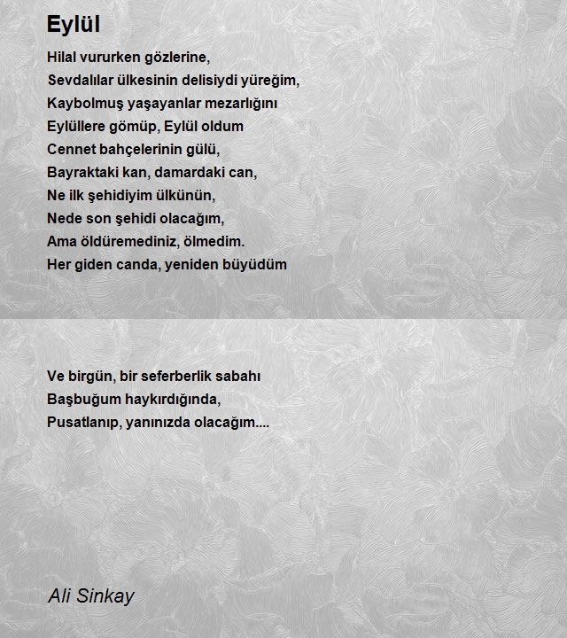 Ali Sinkay