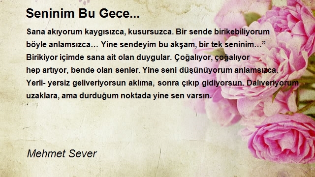 Mehmet Sever