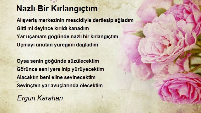 Ergün Karahan