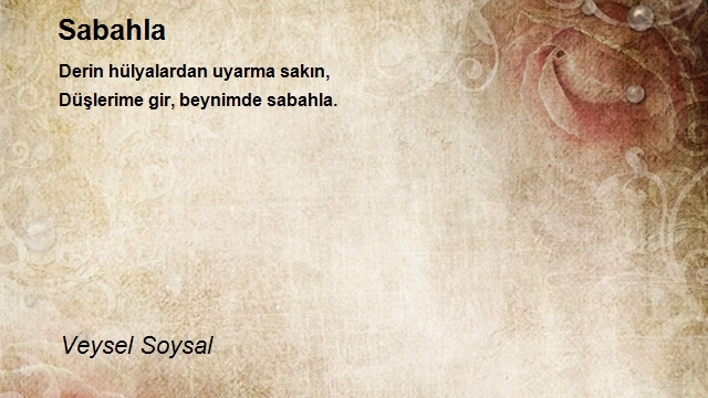 Veysel Soysal