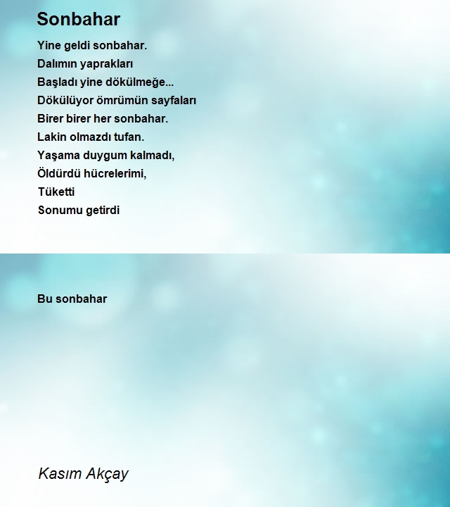 Kasım Akçay