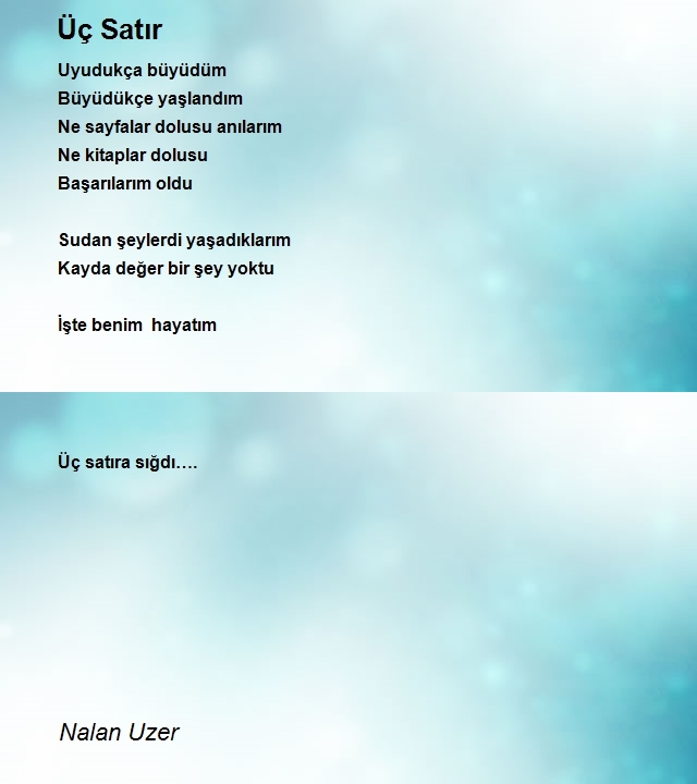 Nalan Uzer