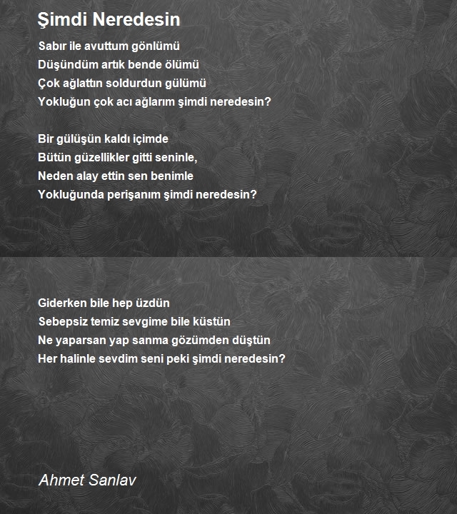 Ahmet Sanlav