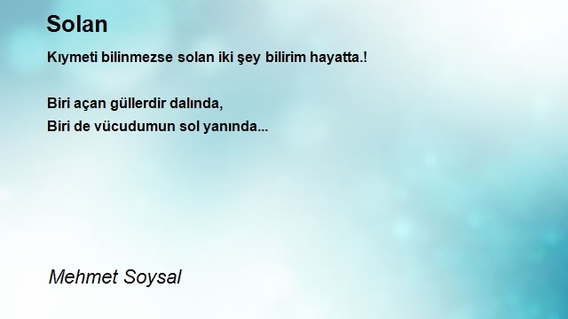 Mehmet Soysal