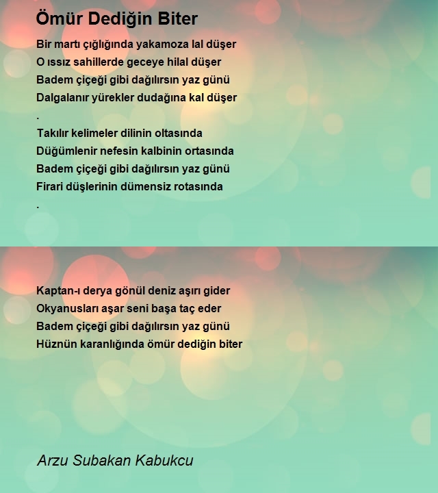 Arzu Subakan Kabukcu