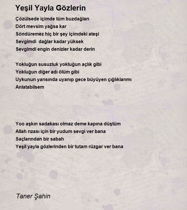 Taner Şahin