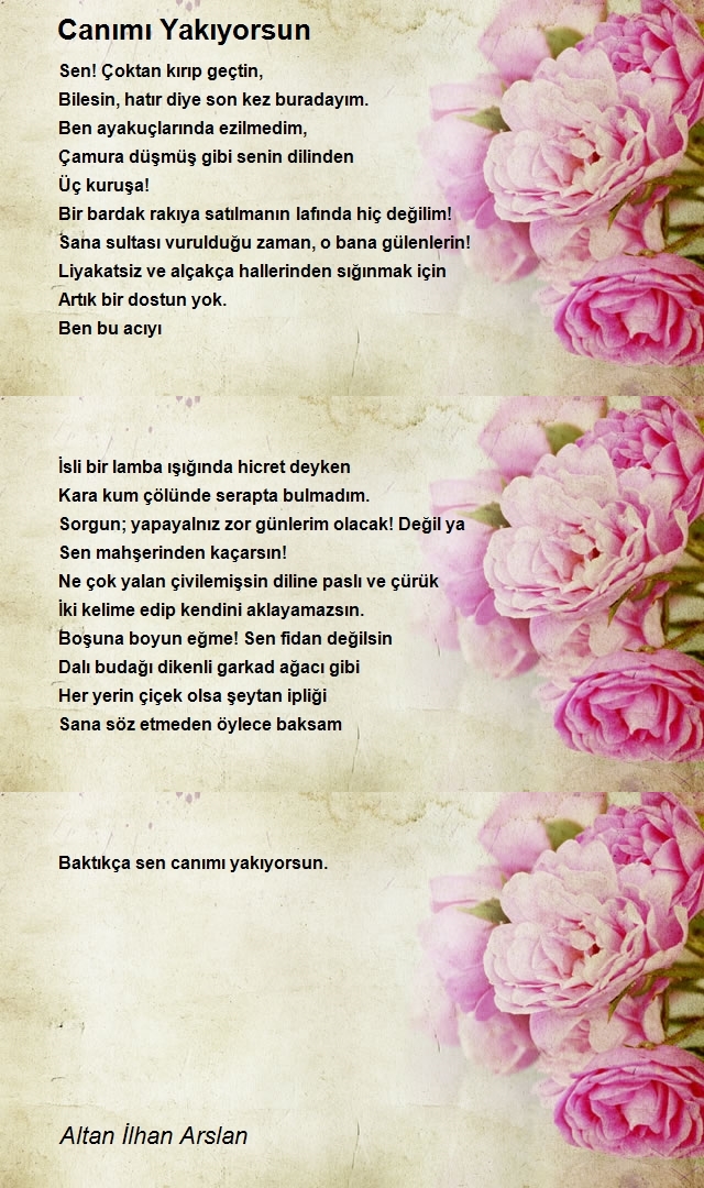 Altan İlhan Arslan