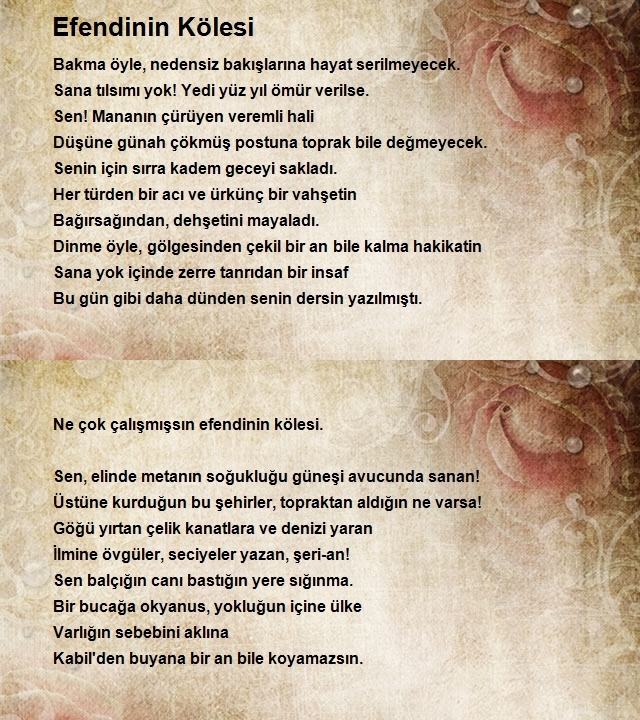 Altan İlhan Arslan