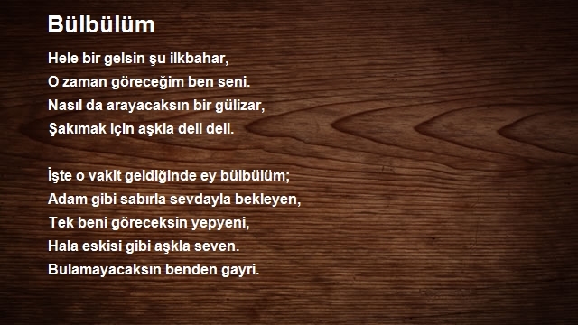 Elvan Usul