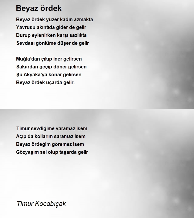 Timur Kocabıçak