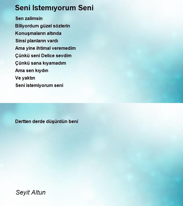 Seyit Altun