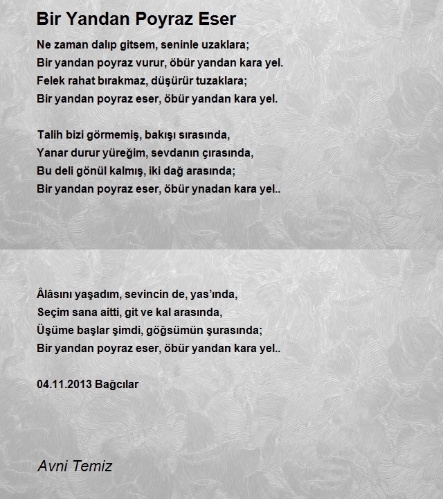 Avni Temiz