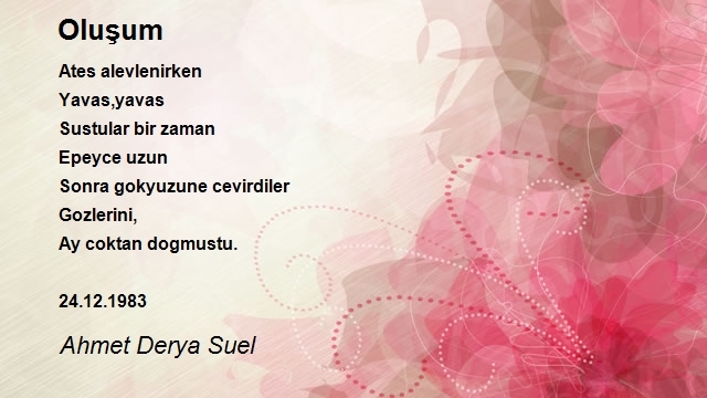 Ahmet Derya Suel