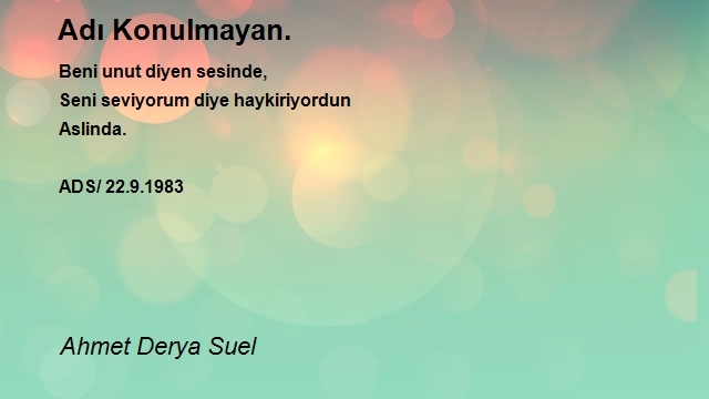 Ahmet Derya Suel