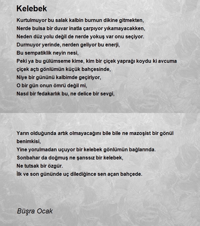 Büşra Ocak