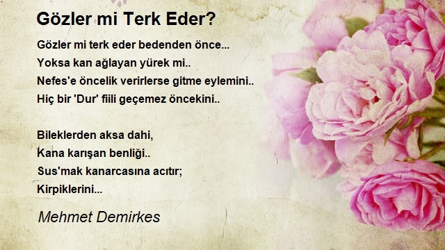 Mehmet Demirkes