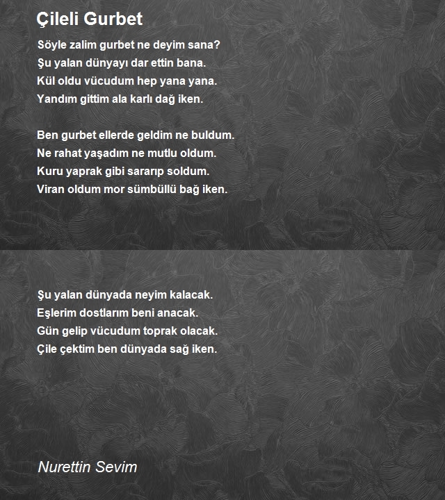 Nurettin Sevim