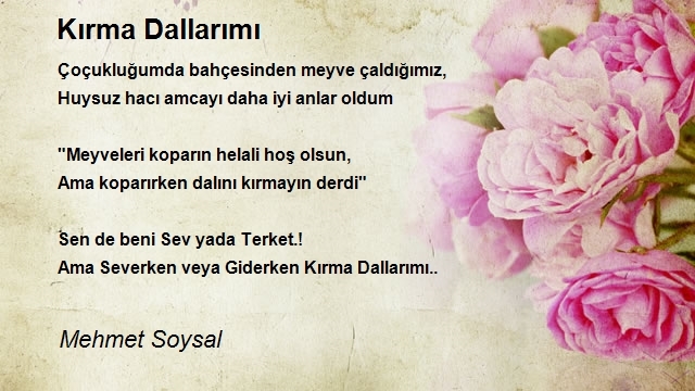 Mehmet Soysal