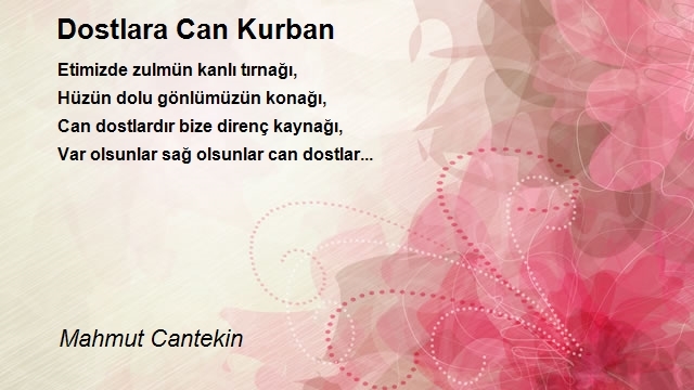 Mahmut Cantekin