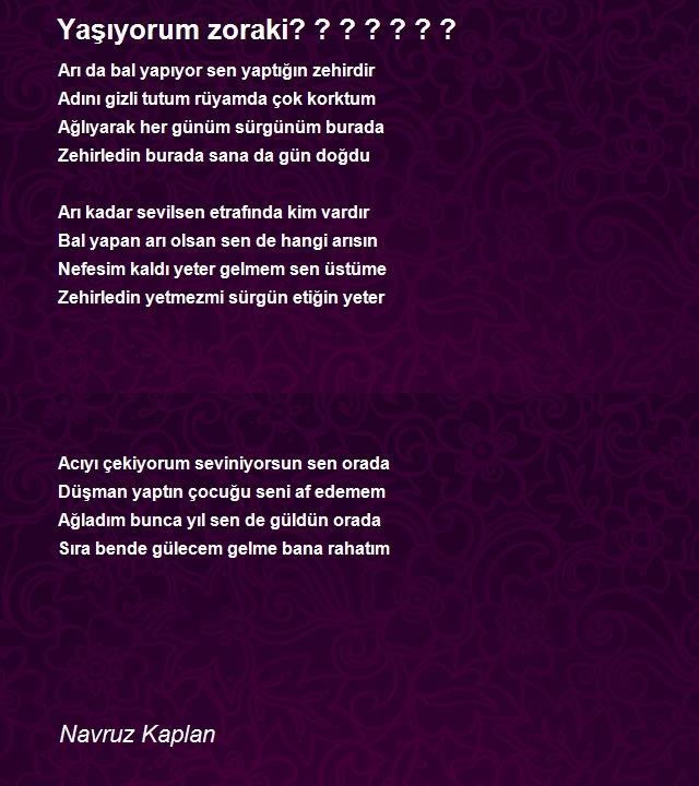 Navruz Kaplan