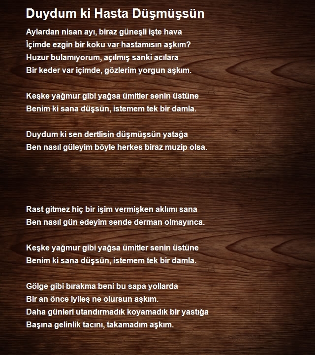 Altan İlhan Arslan