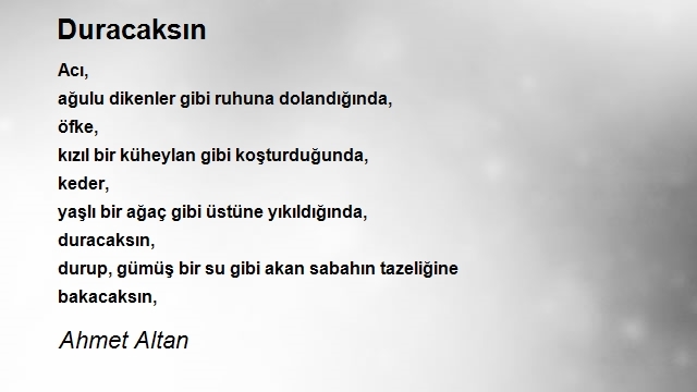 Ahmet Altan