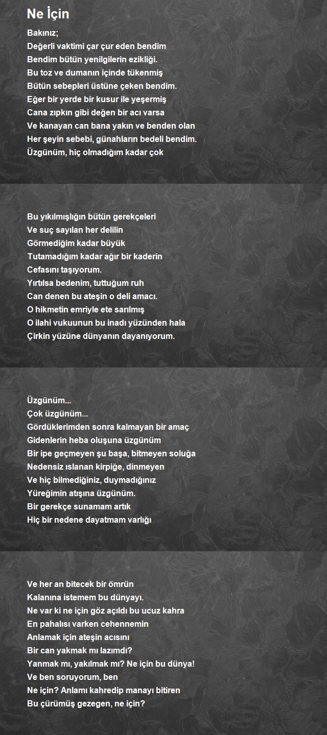 Altan İlhan Arslan