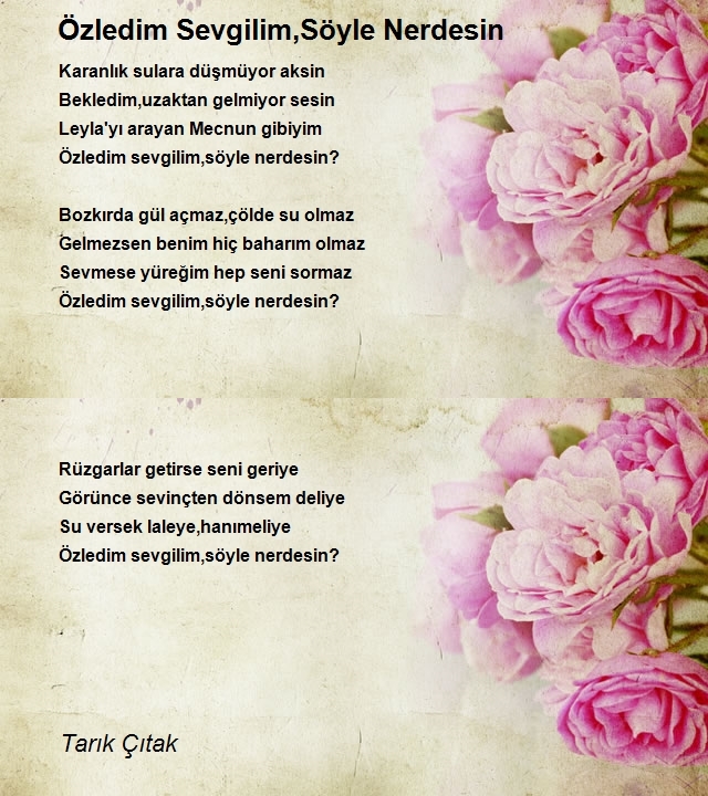 Tarık Çıtak