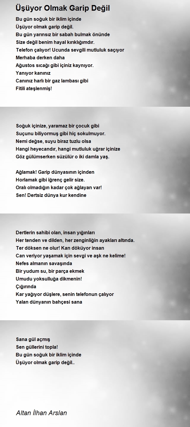 Altan İlhan Arslan