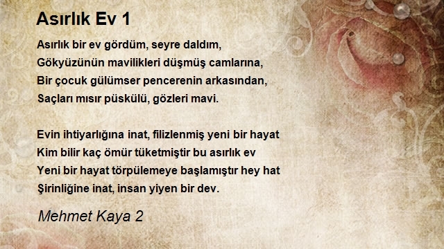 Mehmet Kaya 2