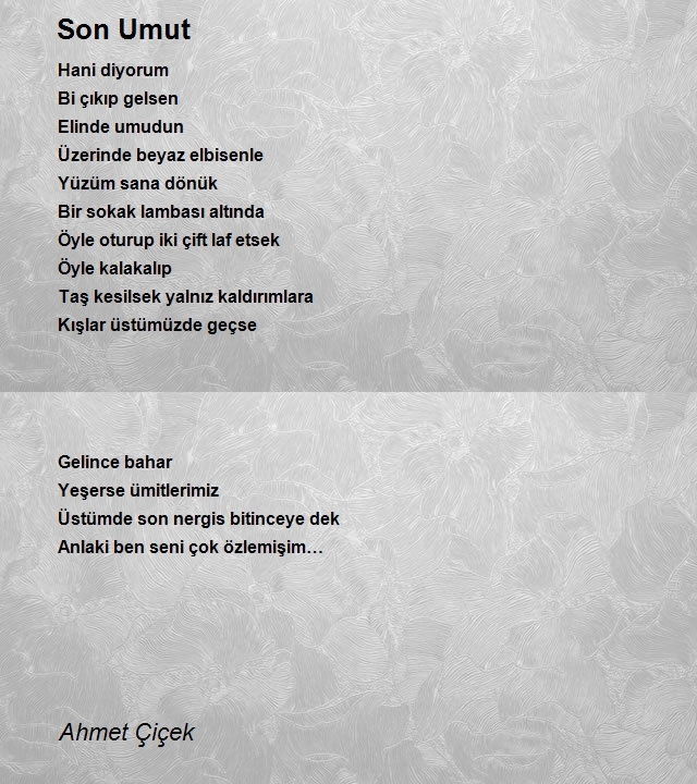 Ahmet Çiçek